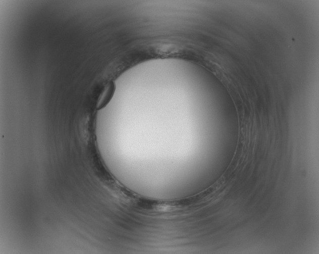 X0000073440319200607281038