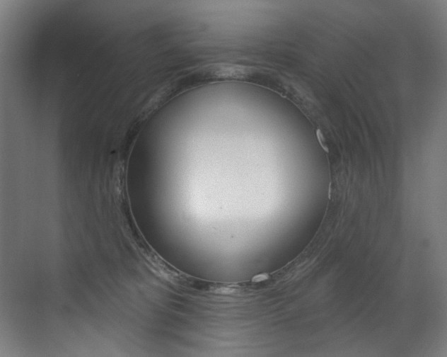 X0000073440325200607281038