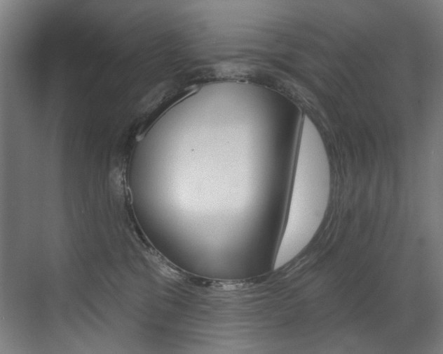 X0000073440329200607281038