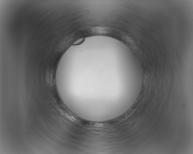 X0000073440330200607281038