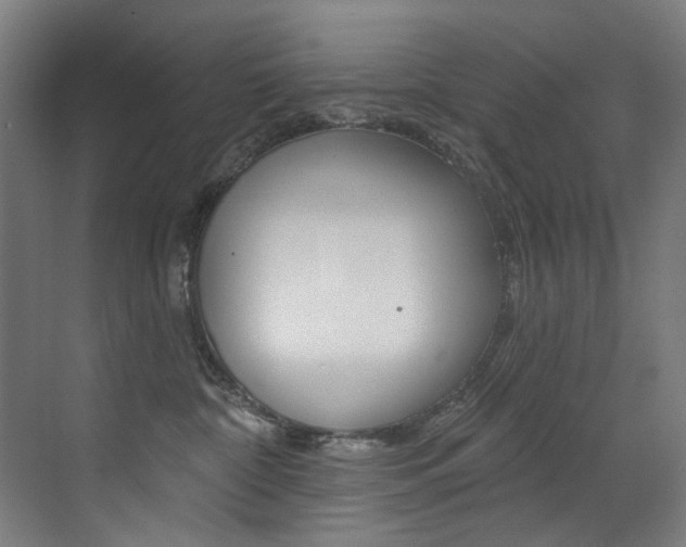 X0000073440332200607281038
