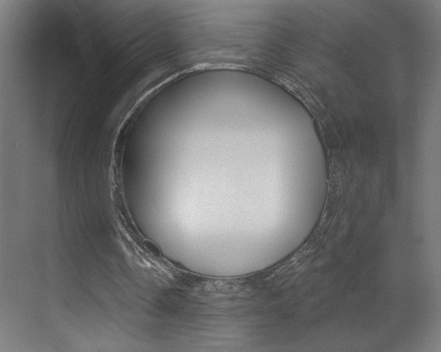 X0000073440338200607281037