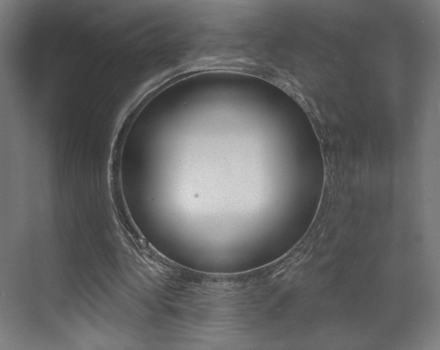 X0000073440340200607281037