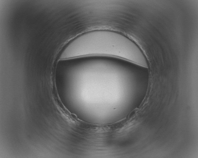 X0000073440345200607281037