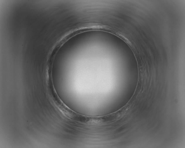 X0000073440350200607281037