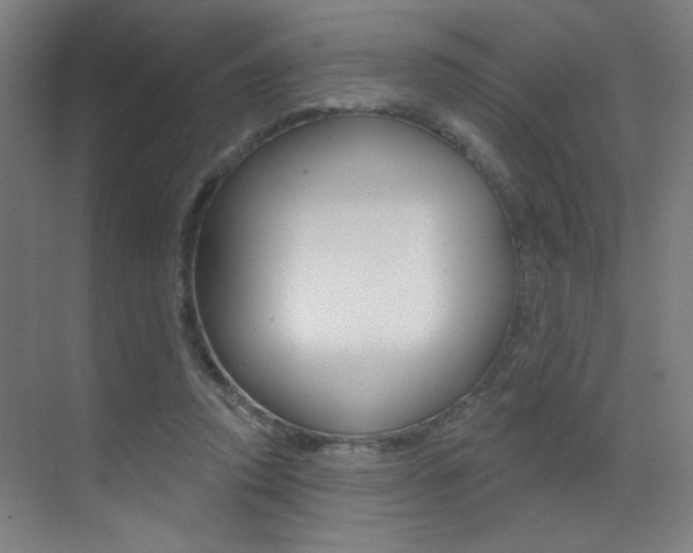 X0000073440354200607281037