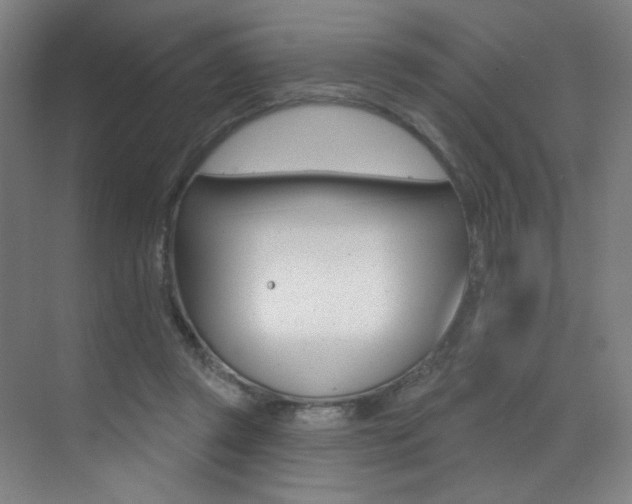 X0000073440357200607281037