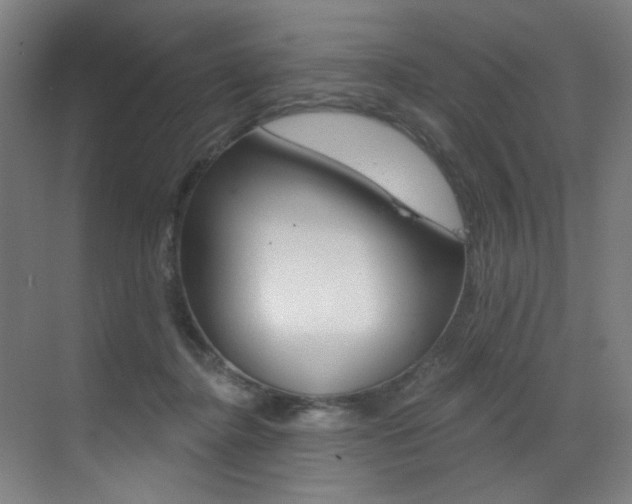 X0000073440364200607281037