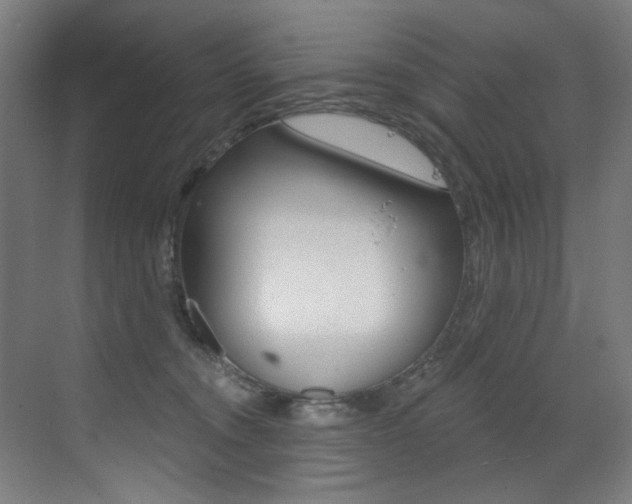X0000073440372200607281037