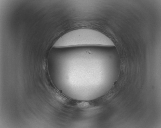 X0000073440374200607281037