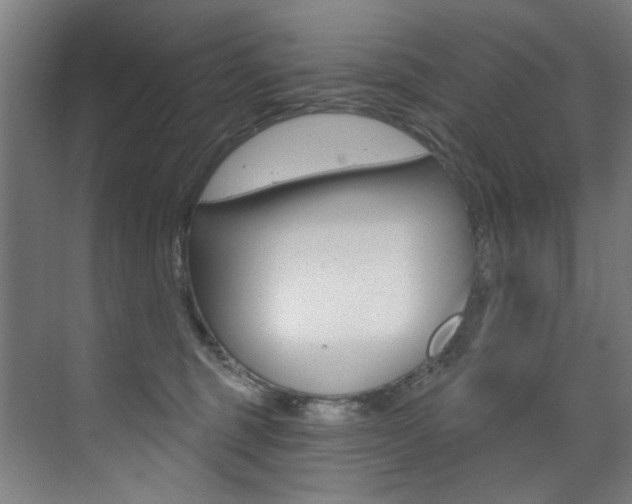 X0000073440375200607281037
