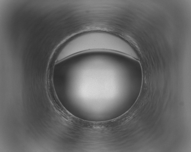 X0000073440388200607281037