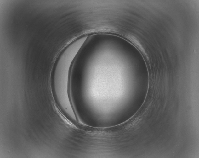 X0000073440389200607281037