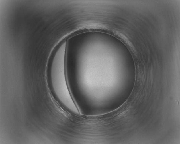 X0000073440391200607281037