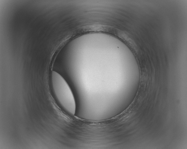 X0000073440394200607281036