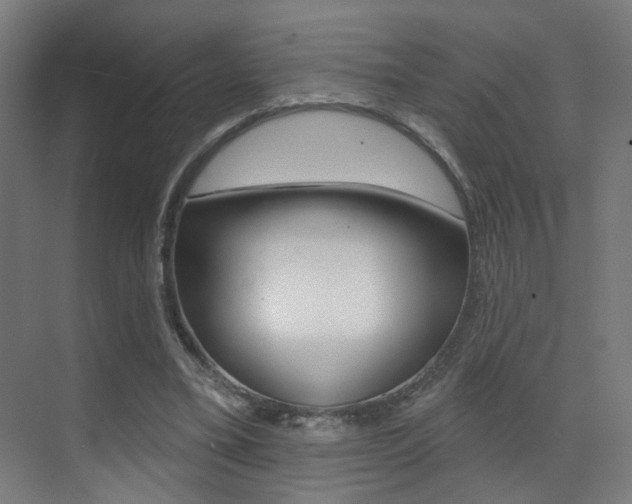 X0000073440395200607281036