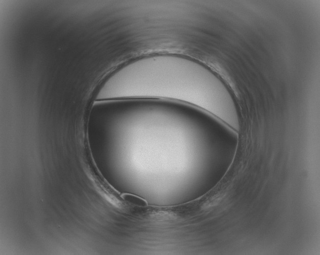 X0000073440397200607281036