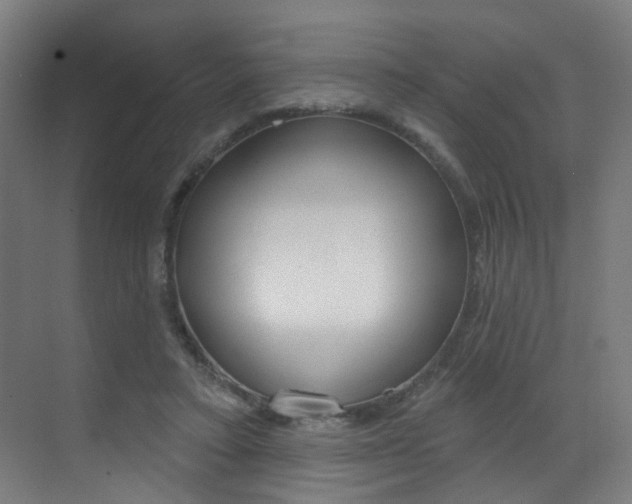 X0000073440403200607281036