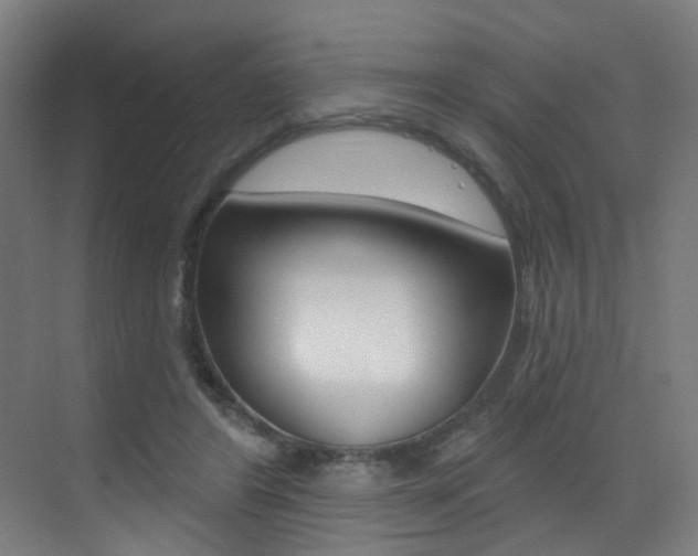 X0000073440404200607281036