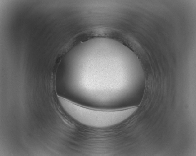 X0000073440413200607281036
