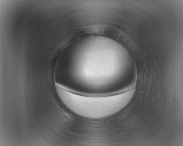 X0000073440416200607281036