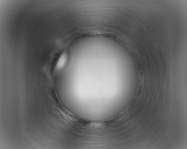 X0000073440418200607281036