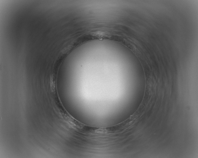 X0000073440420200607281036