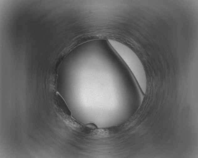 X0000073440421200607281036