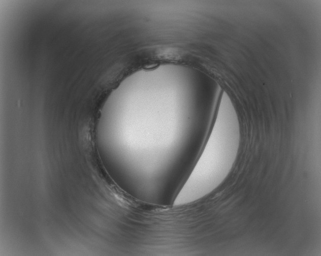 X0000073440424200607281036