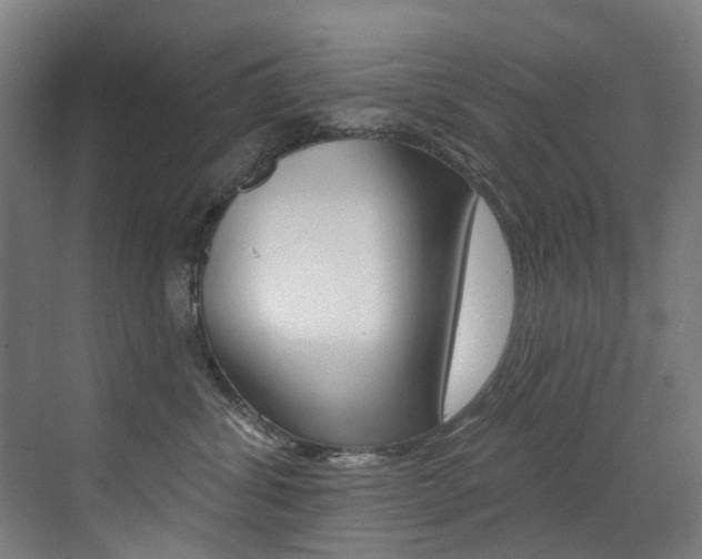 X0000073440428200607281036