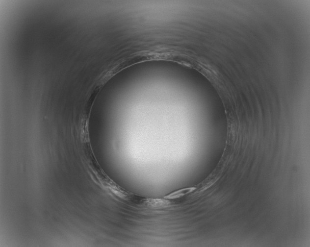 X0000073440429200607281036