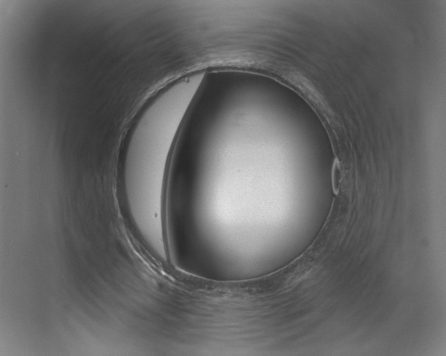 X0000073440434200607281035