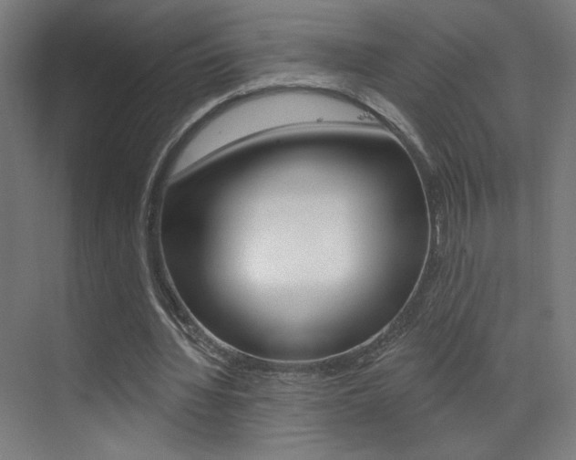 X0000073440436200607281035