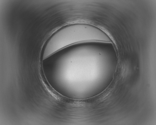 X0000073440437200607281035
