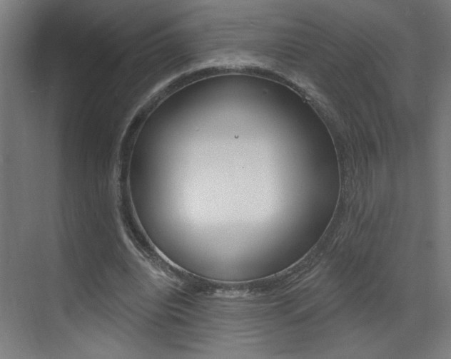 X0000073440440200607281035