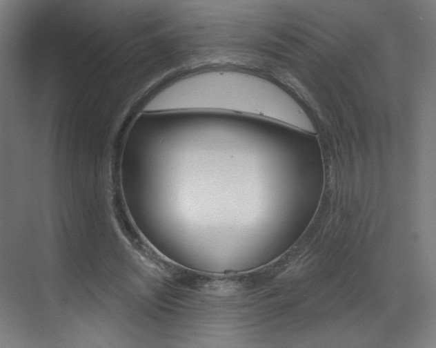 X0000073440444200607281035