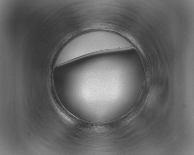 X0000073440445200607281035