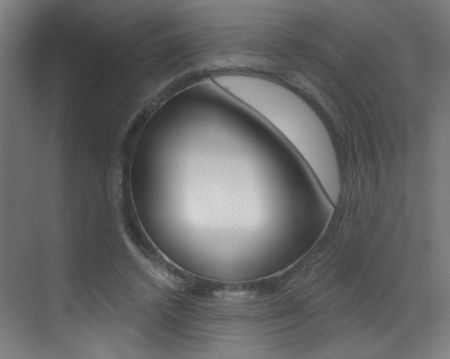 X0000073440448200607281035