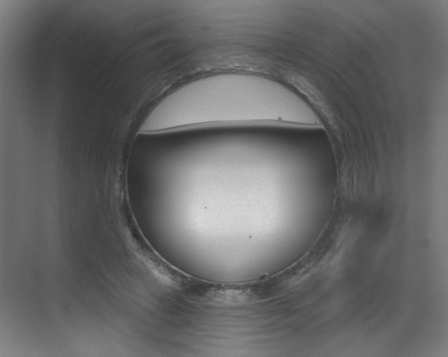 X0000073440449200607281035
