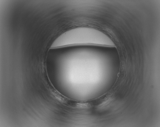 X0000073440457200607281035