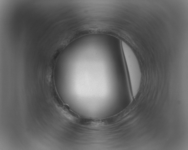 X0000073440458200607281035