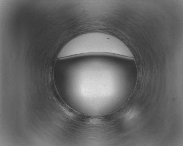 X0000073440462200607281035