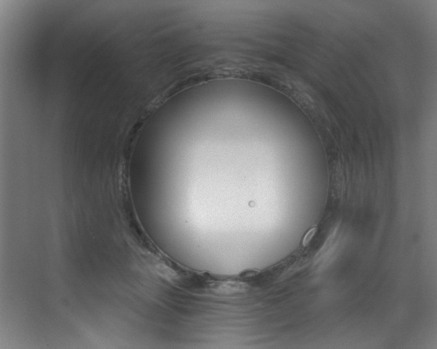 X0000073440463200607281036