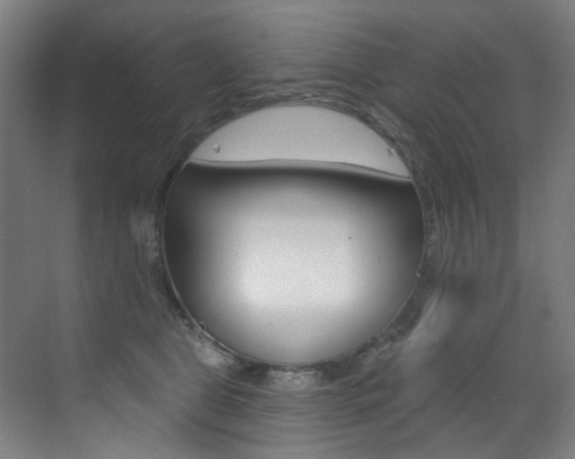 X0000073440469200607281036