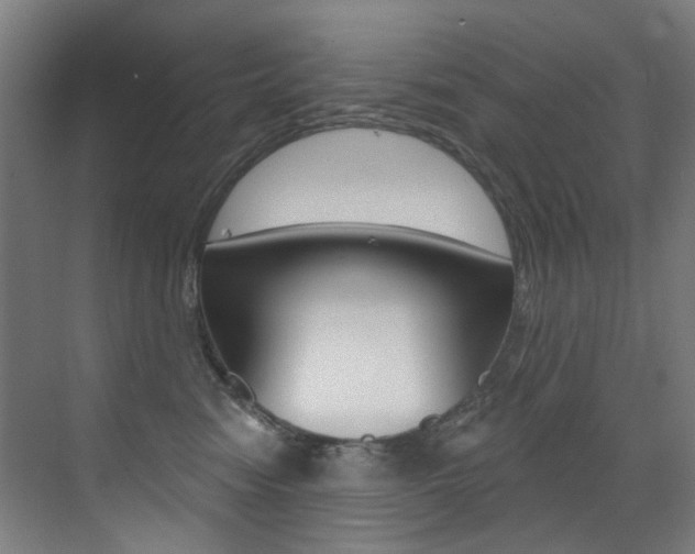 X0000073440474200607281036