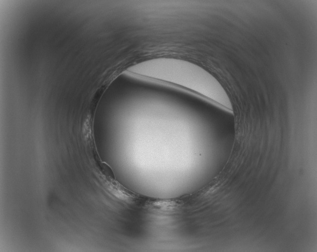 X0000073440478200607281036