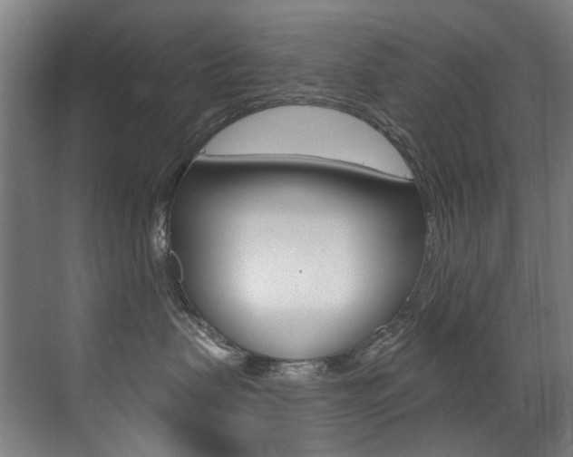 X0000073440479200607281036