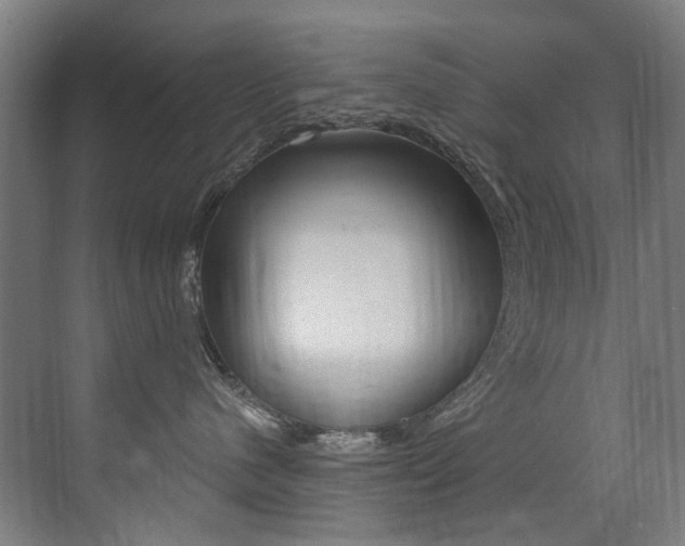 X0000073440480200607281036