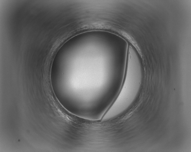 X0000073440481200607281035