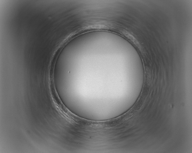 X0000073440482200607281035